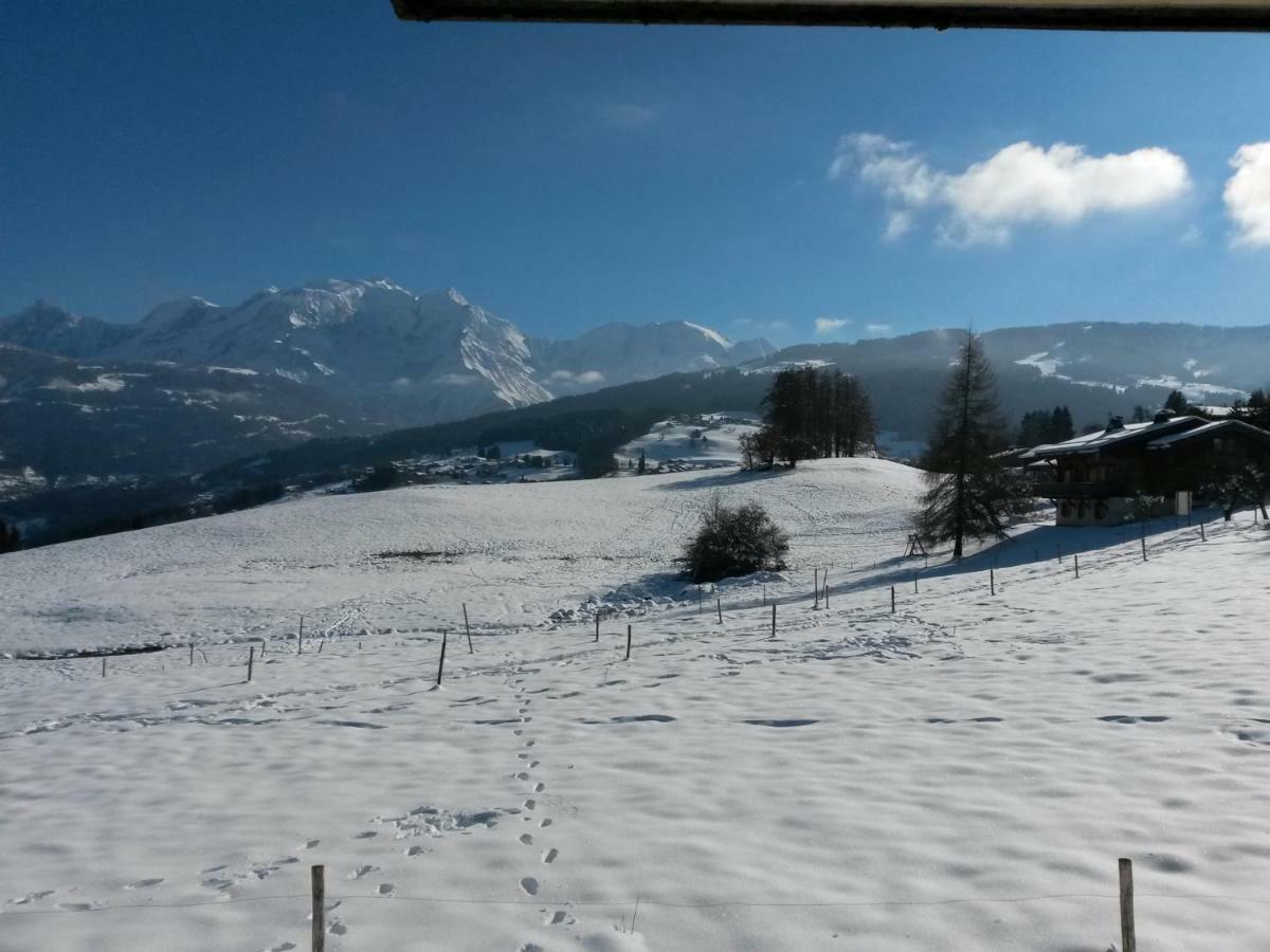 Rez De Chaussee Tres Calme Vue Mont-Blanc Combloux Exterior photo